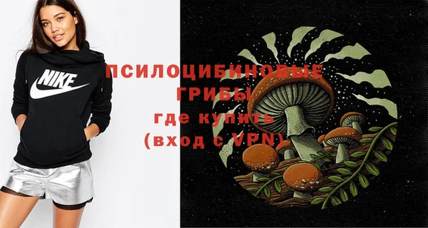 прущие грибы Зеленодольск