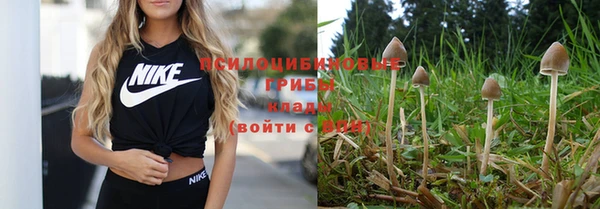 гашишное масло Заволжье